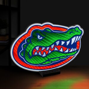 Florida Gators LED Infinity Logo Light