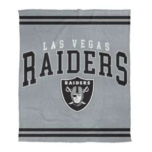 Las Vegas Raiders Pegasus 60" x 70" Cozy Plush Knit Blanket