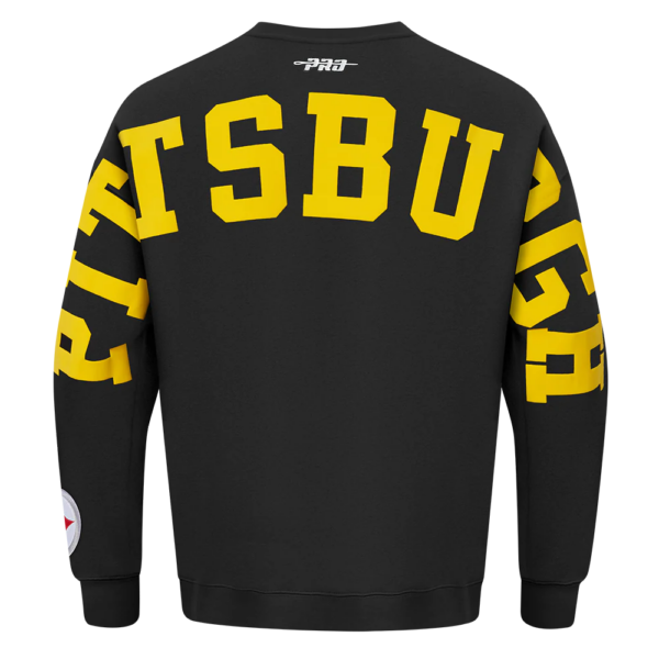 PITTSBURGH STEELERS PRO STANDARD WINGSPAN MEN'S DROP SHOULDER LONG SLEEVE TEE
